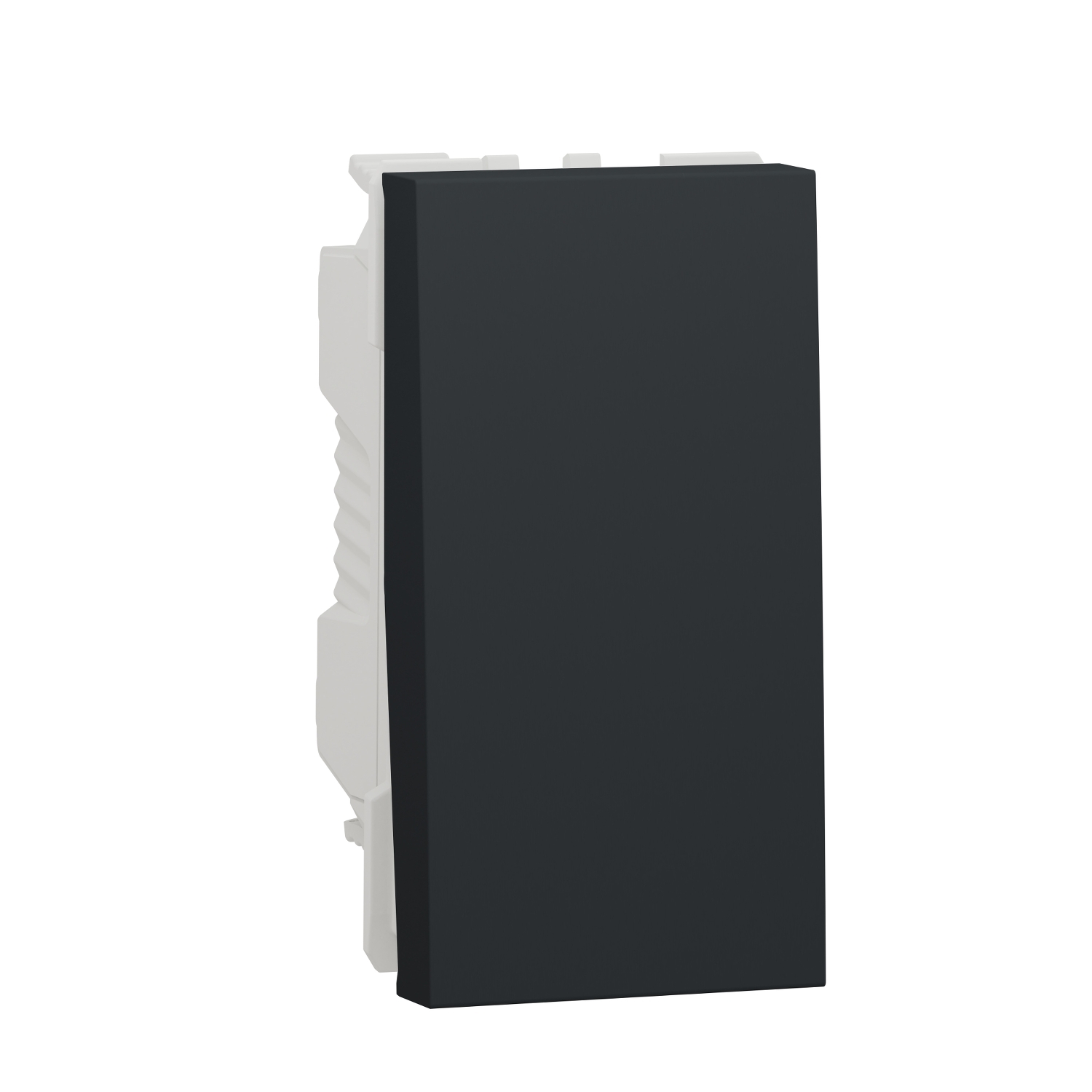NU313654 Taster NO/NC 10A 1 modul antracit