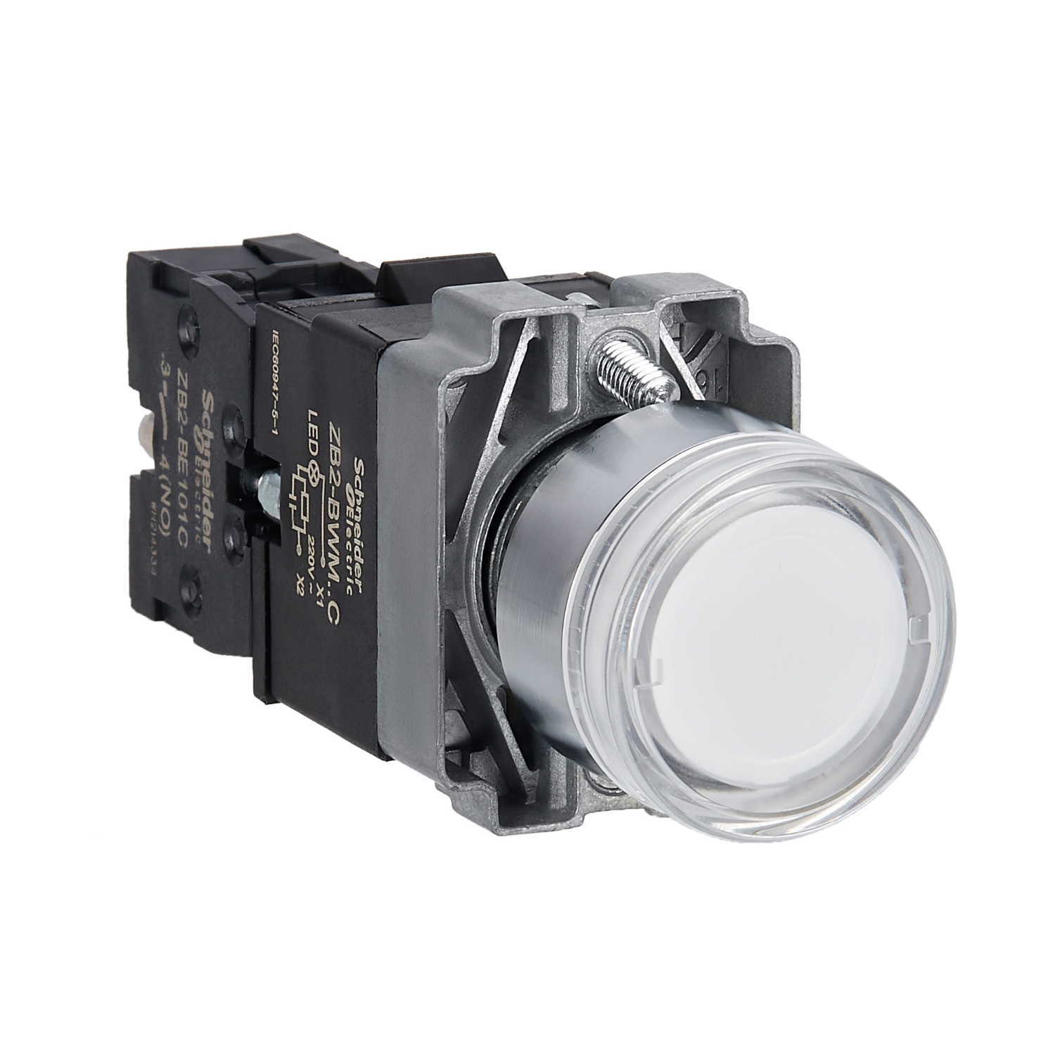 XB2BW31M1C Svetleći taster